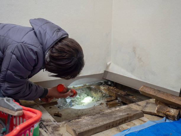 Mold Documentation for Insurance Claims in Newkirk, OK