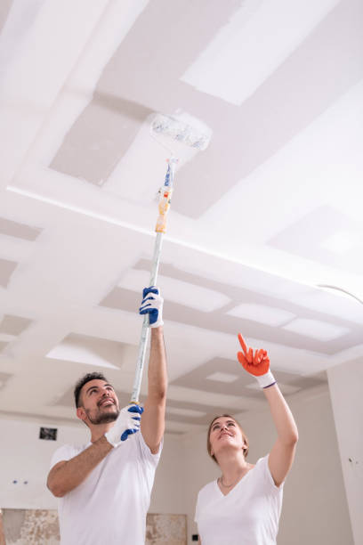 Best Attic Mold Removal  in Newkirk, OK